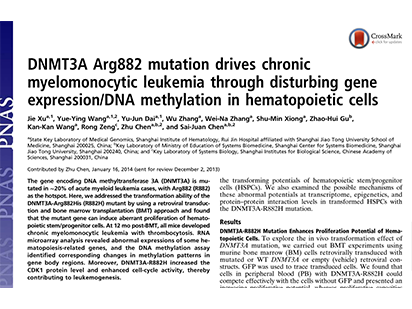 Xu J, et al. DNMT3A Arg882 mutation drives chronic myelomonocytic leukemia through disturbing gene expression/DNA methylation in hematopoietic cells. Proc Natl Acad Sci U S A.?2014 Feb 18;111(7):2620-5. (IF=9.681)