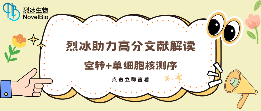 【烈冰助力】空轉(zhuǎn)+單細胞核測序助力  “肌內(nèi)脂肪生成機制”探索