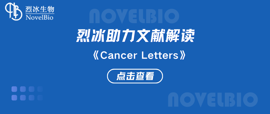 【烈冰助力】單細胞RNA-seq揭示了轉(zhuǎn)移性腎細胞癌的異質(zhì)性和抗血管生成治療在胰腺轉(zhuǎn)移性病變中的作用