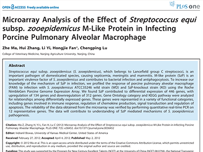 Ma Z, et al. Microarray Analysis of the Effect of Streptococcus equi subsp. zooepidemicus M-Like Protein in Infecting Porcine Pulmonary Alveolar Macrophage. PLoS One.?2012 Jul;7(5):e36452. (IF=4.351)